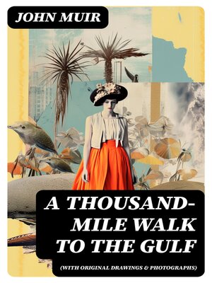 cover image of A Thousand-Mile Walk to the Gulf (With Original Drawings & Photographs)